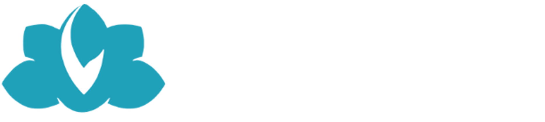 Labdhi Wealthcare
